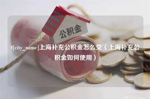 濮阳上海补充公积金怎么交（上海补充公积金如何使用）